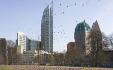 Architectuur in Den Haag